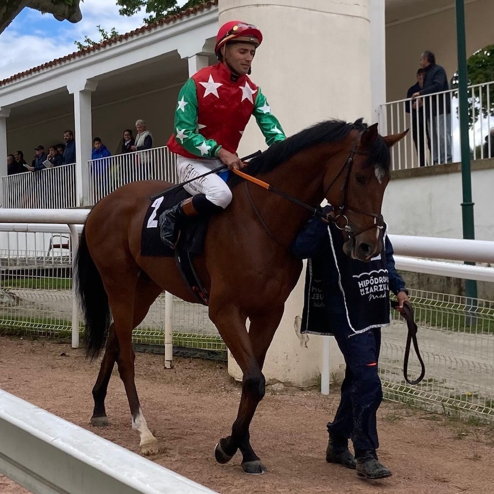 NACIONAL DRAGO ARZUA TOLEDANO