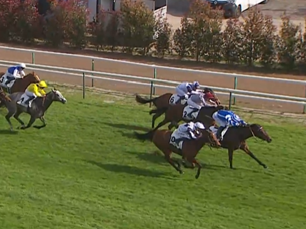 MY CALYX ZEN GRUPO 3